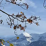 Oase Zum Sein * Spiez