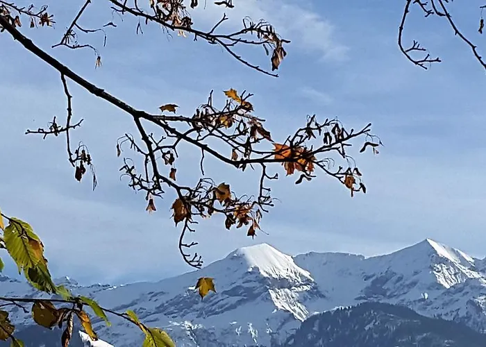 Oase Zum Sein * Spiez