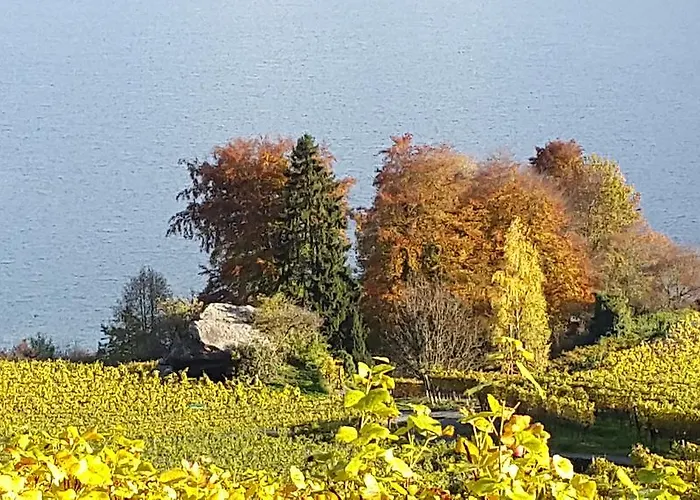 Oase Zum Sein Séjour chez l'habitant *