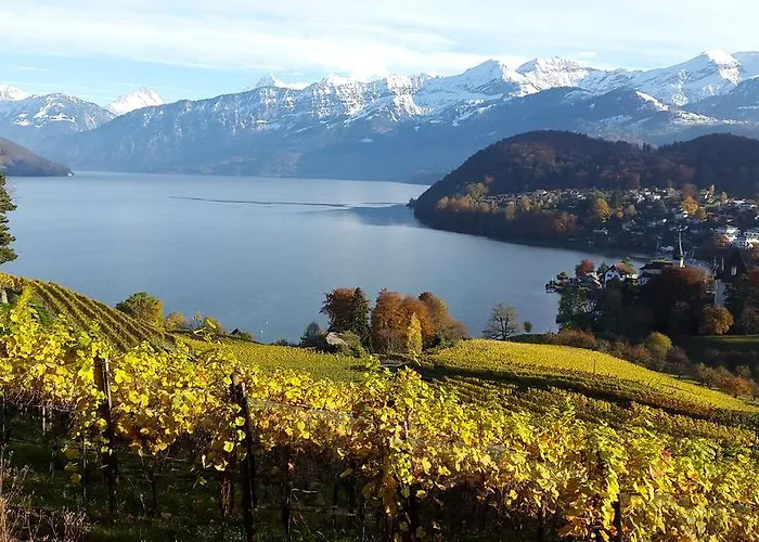 Oase Zum Sein Privatunterkunft