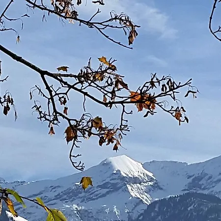 Oase Zum Sein * Spiez