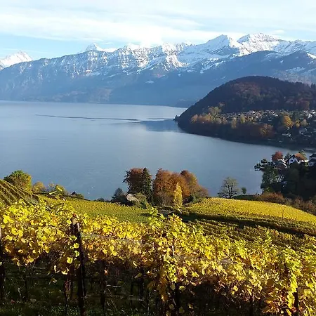 Oase Zum Sein Homestay